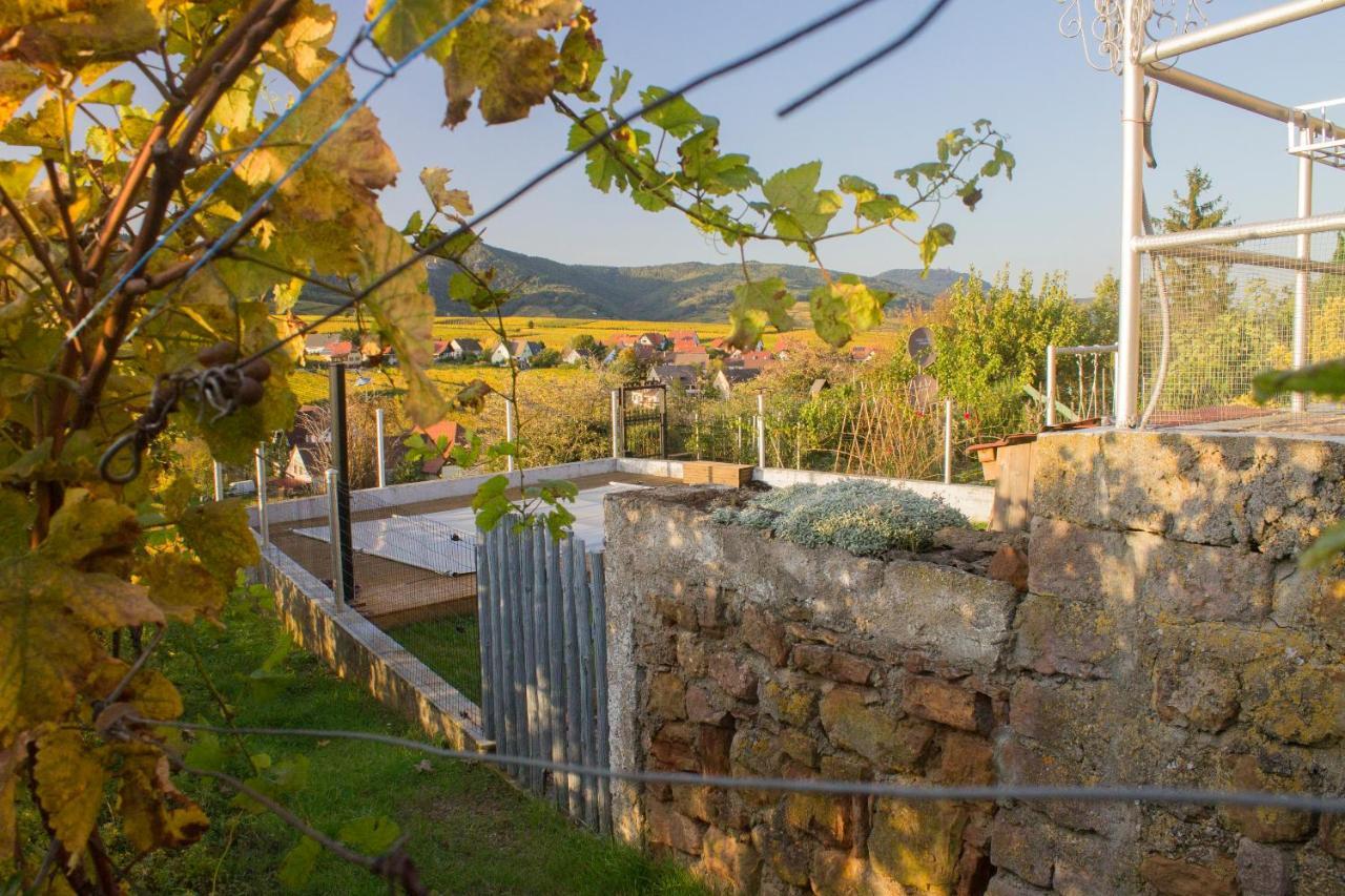 Le Zell Villa Zellenberg Bagian luar foto