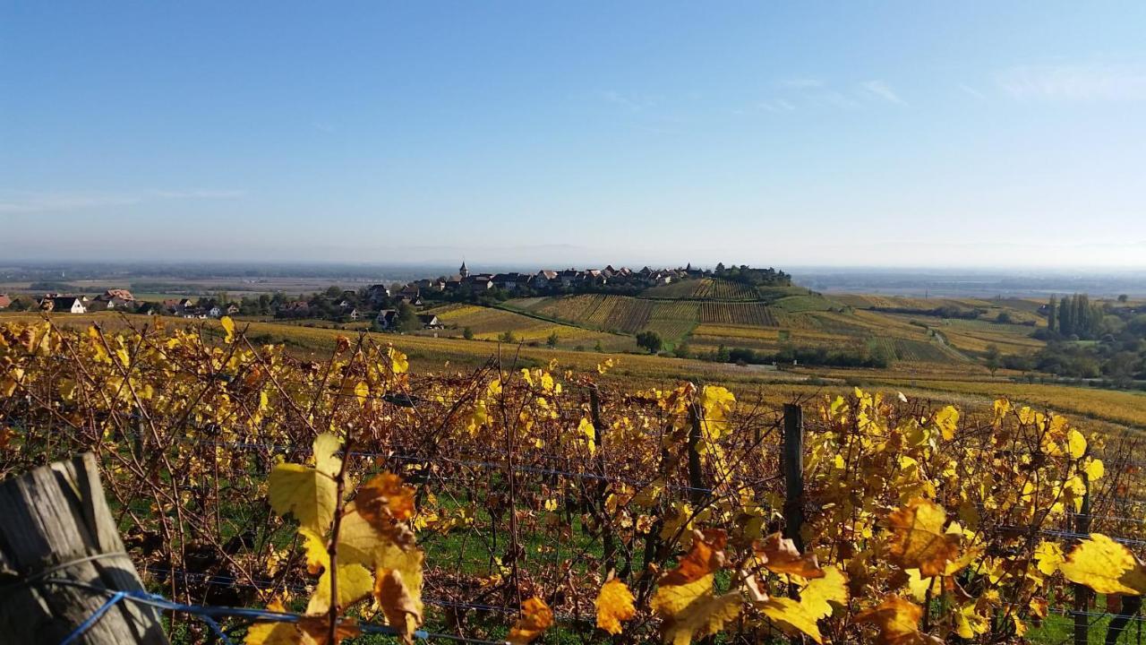 Le Zell Villa Zellenberg Bagian luar foto